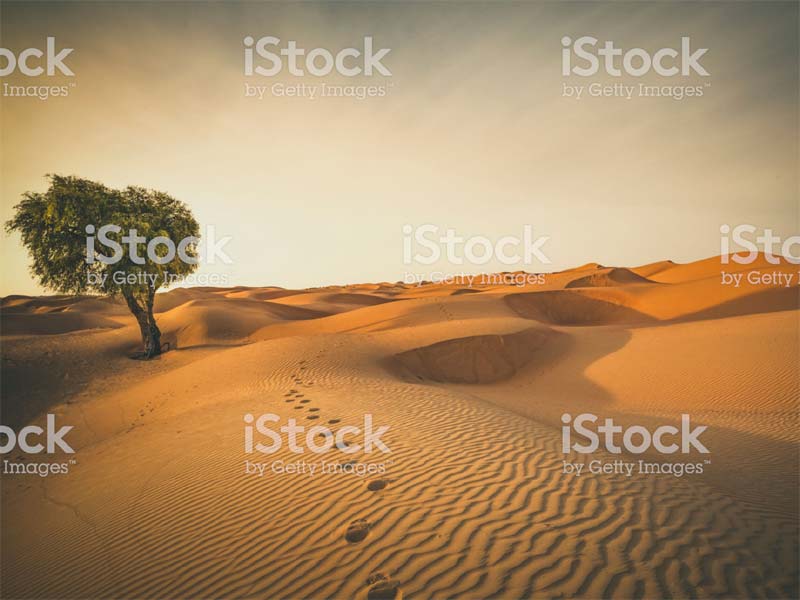 desert